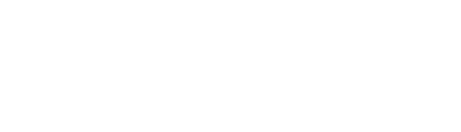 LOGO Aminora_png-04